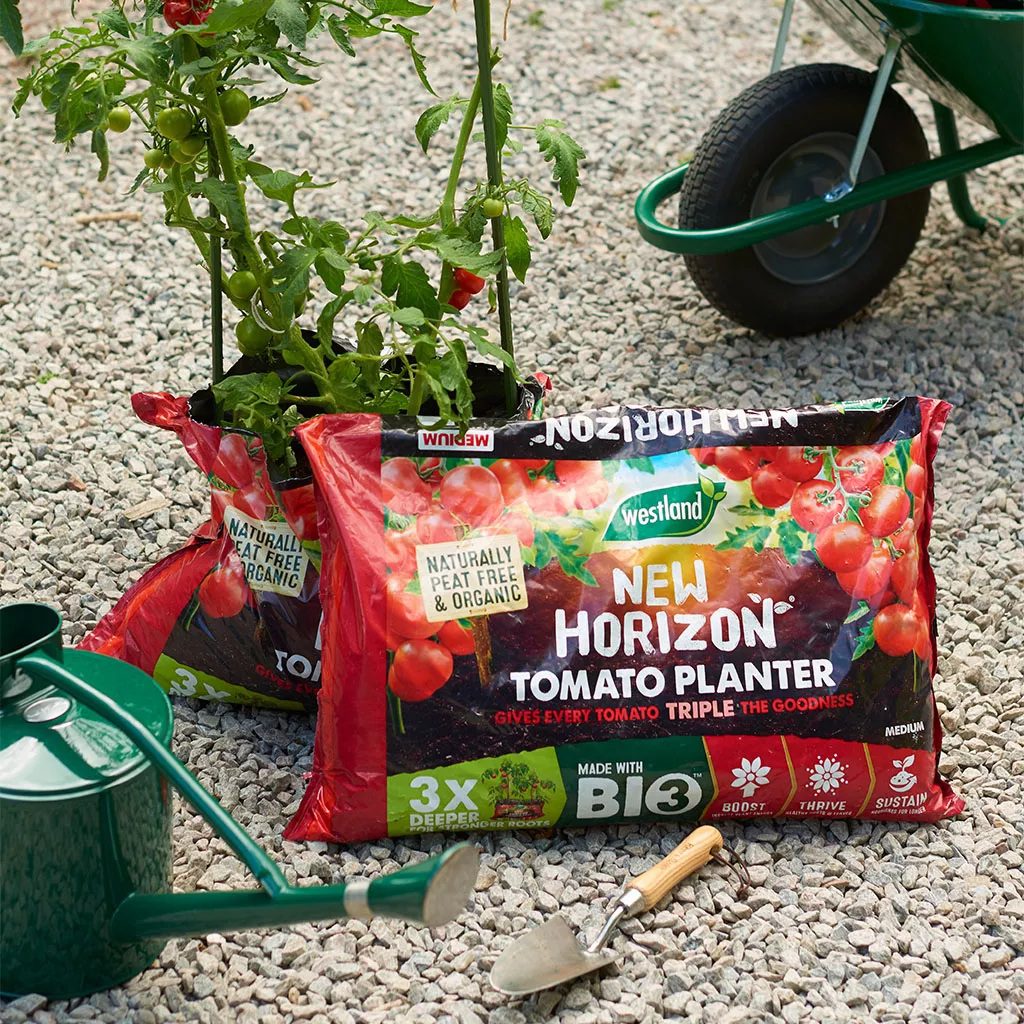 Westland New Horizon Tomato Planter Medium 40L 5023377007460